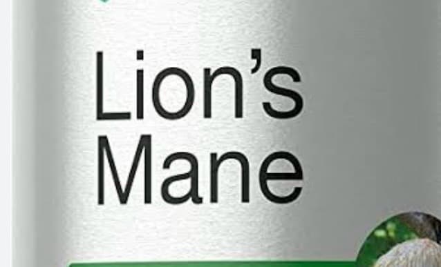 Lions Mane, image 1 of 1