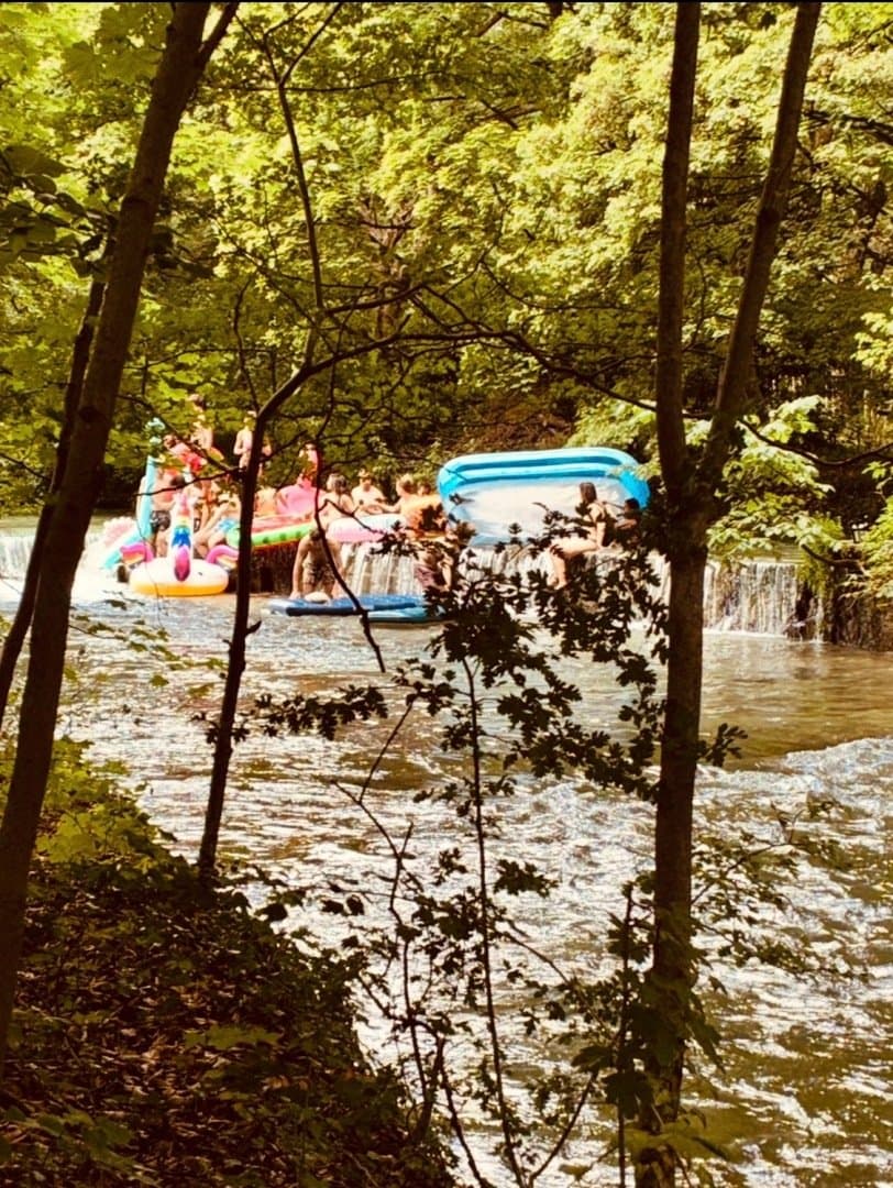 Englischer Garten, image 1 of 1
