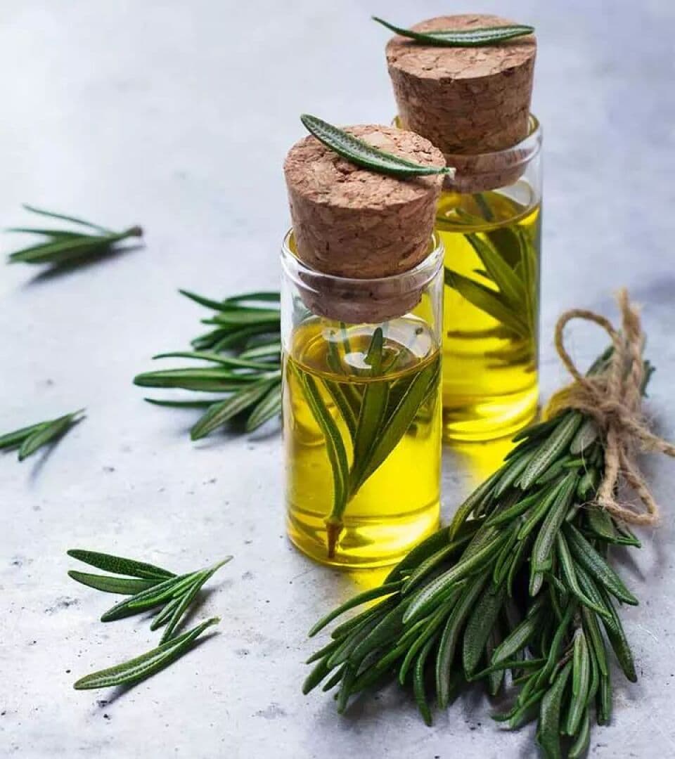 Rosemary, image 1 of 1