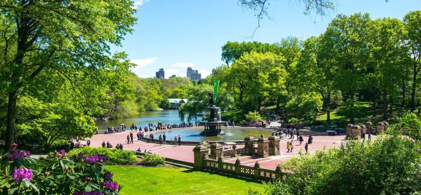 Central Park, image 1 of 1