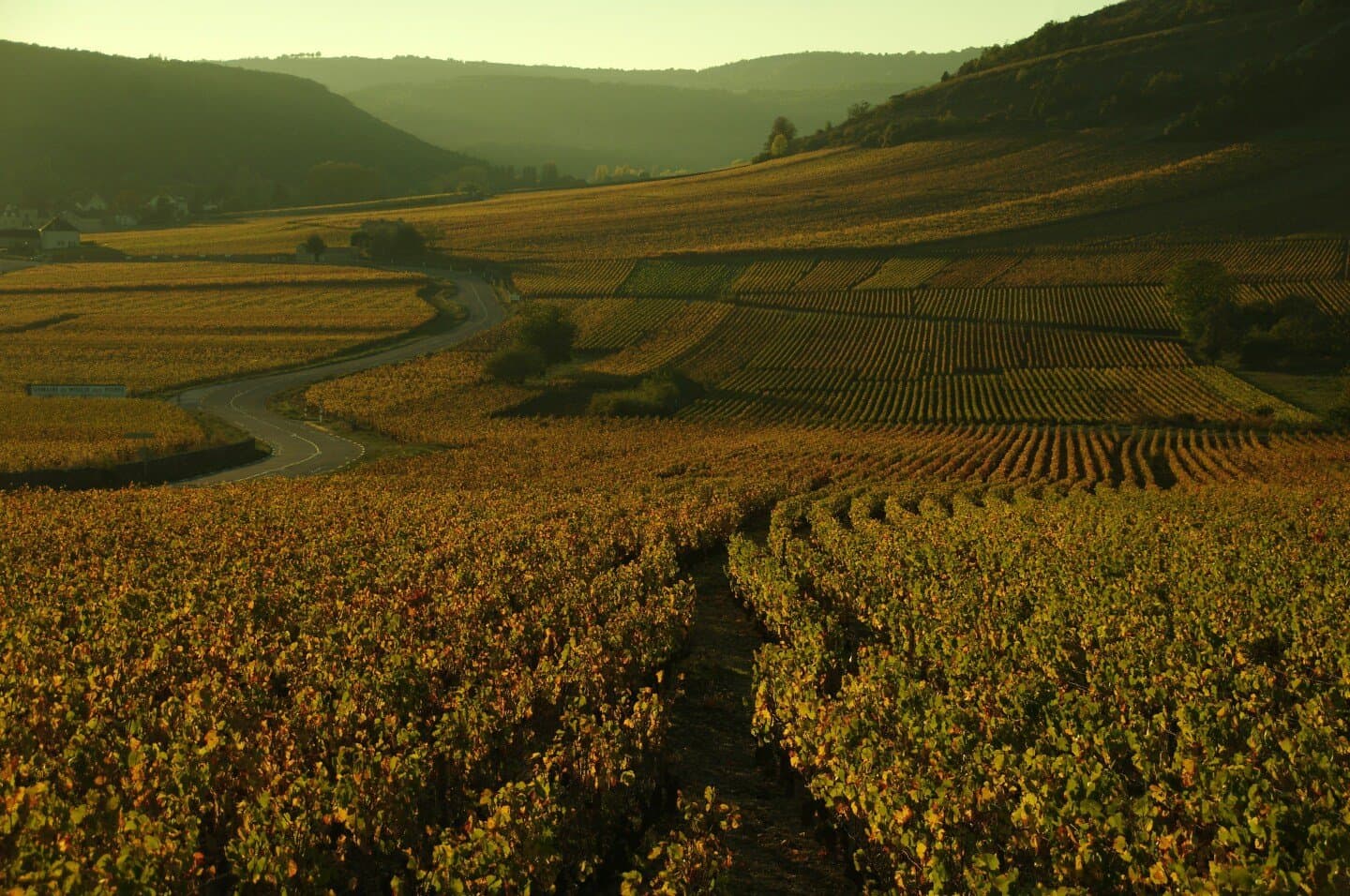 Domaine du Burignon, image 1 of 1