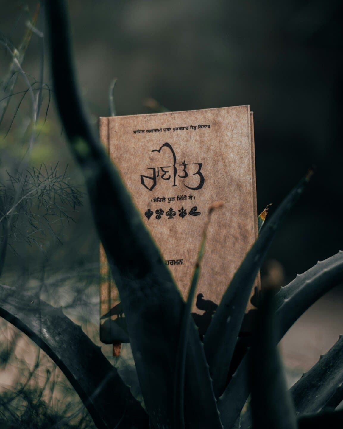 Being Mortal, image 1 of 1