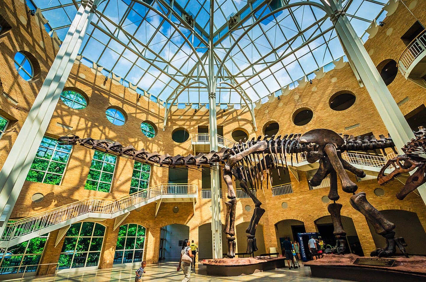 Fernbank Museum of Natural History, image 1 of 1