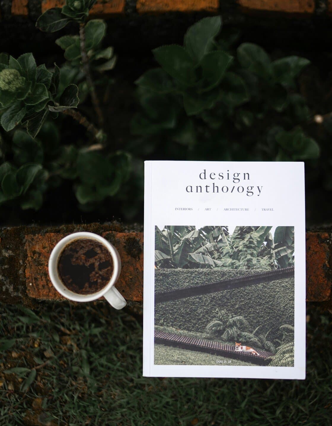 The Anthologist, image 1 of 1