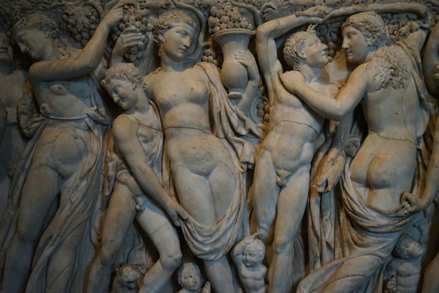 Museum of Fine Arts, image 1 of 1