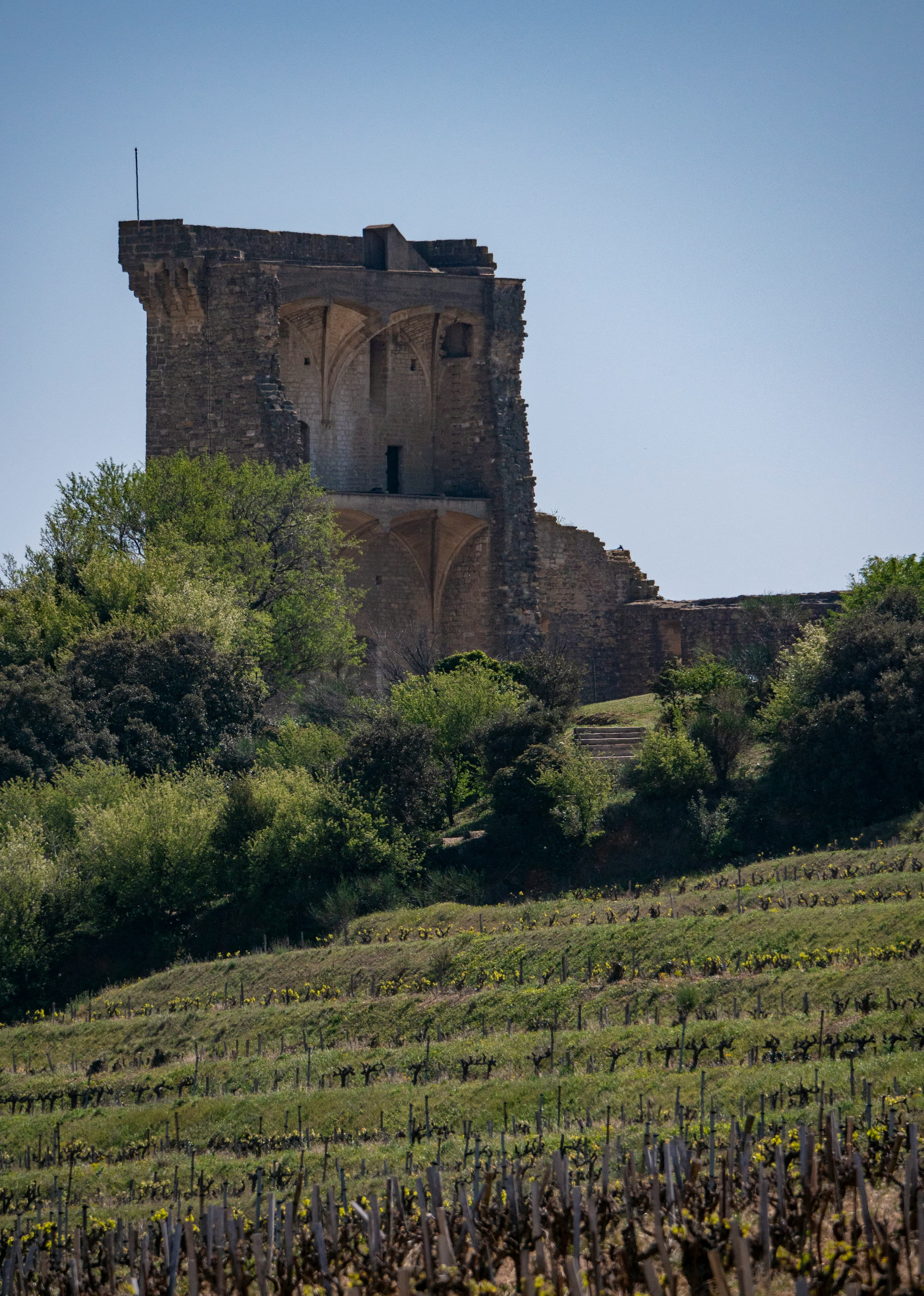 Château de Beaucastel Châteauneuf-du-Pape, image 1 of 1