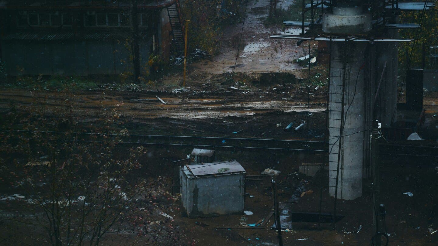 The Fugitive, image 1 of 1