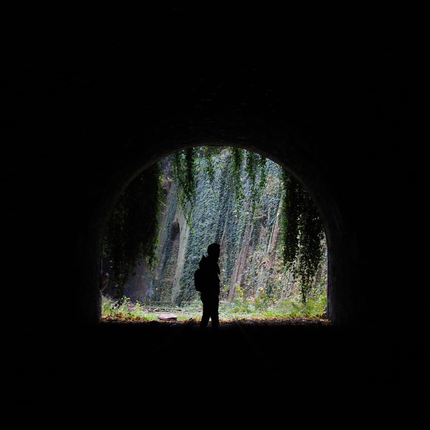 Aux Vins Vivants, image 1 of 1