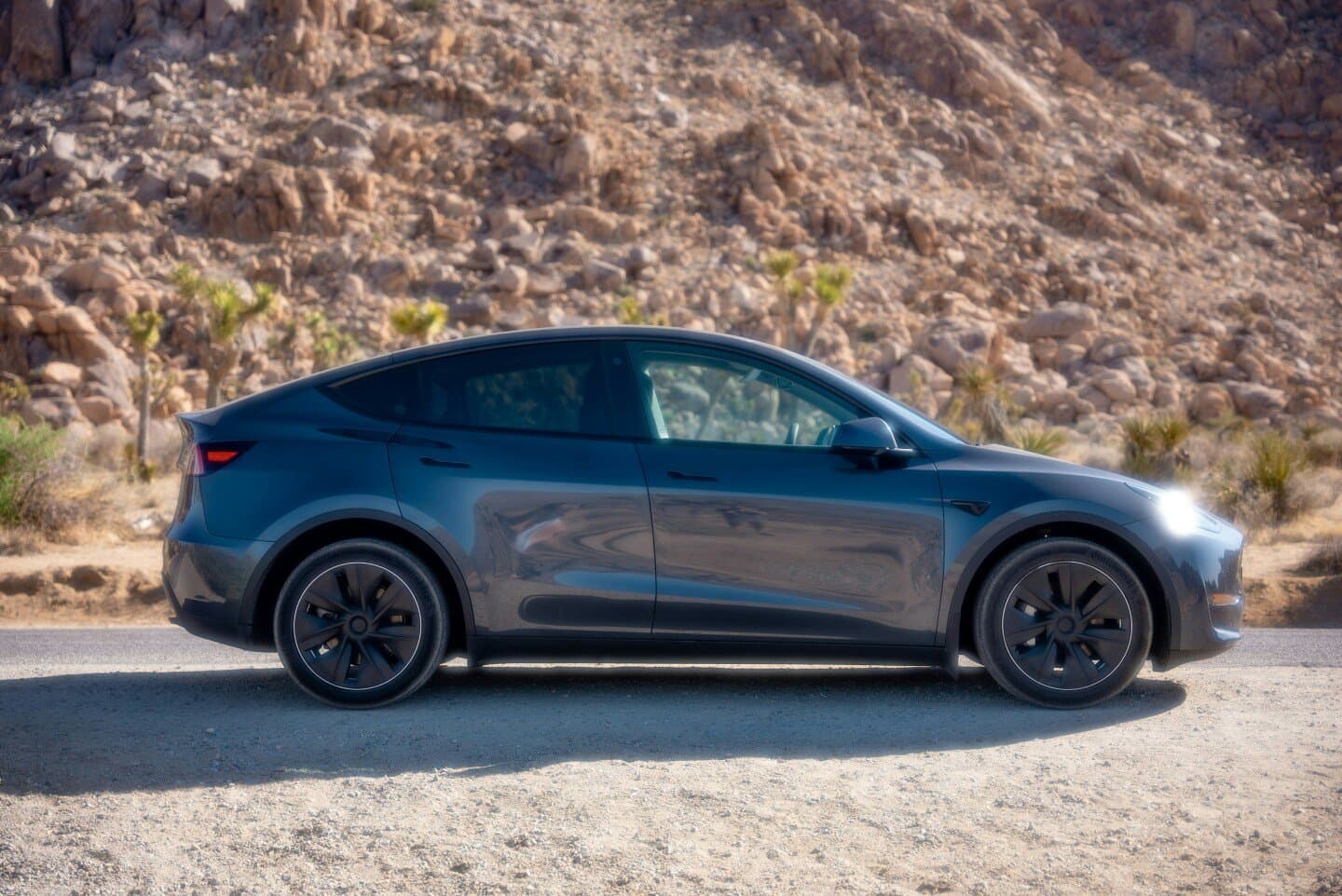 Tesla Model Y, image 1 of 1