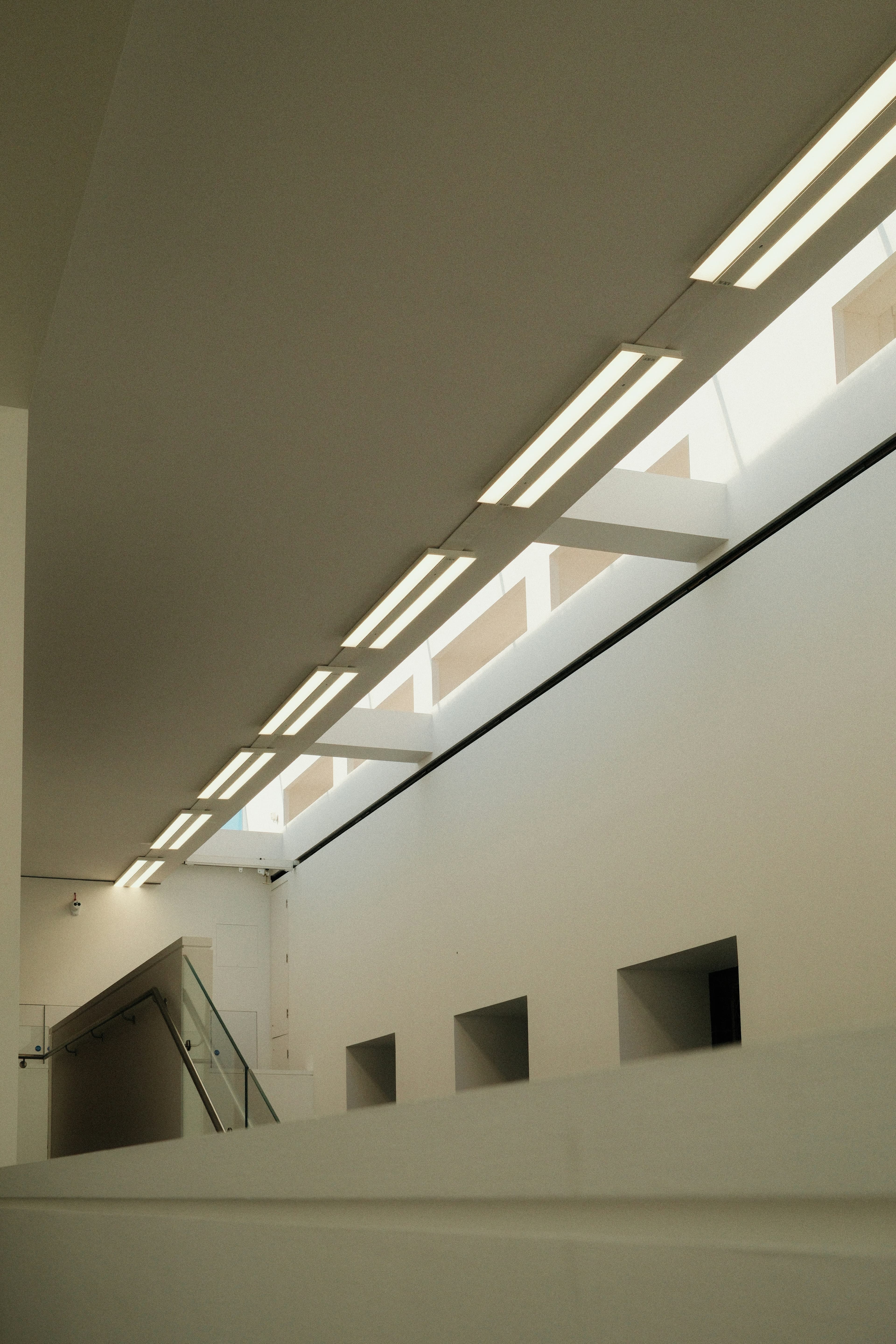 Manchester Museum, image 1 of 1