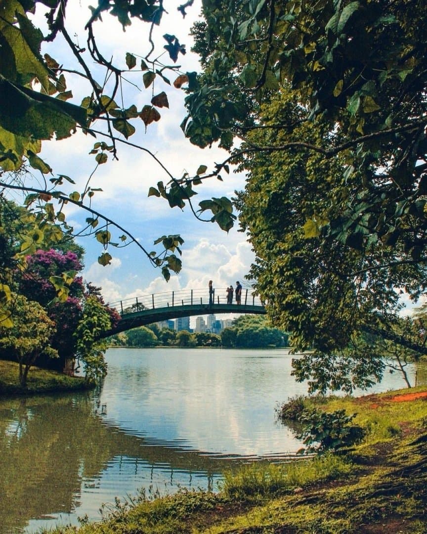 Parque Ibirapuera, image 1 of 1