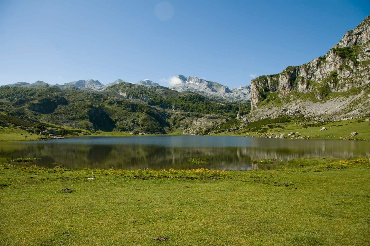 Bains des Pâquis, image 1 of 1