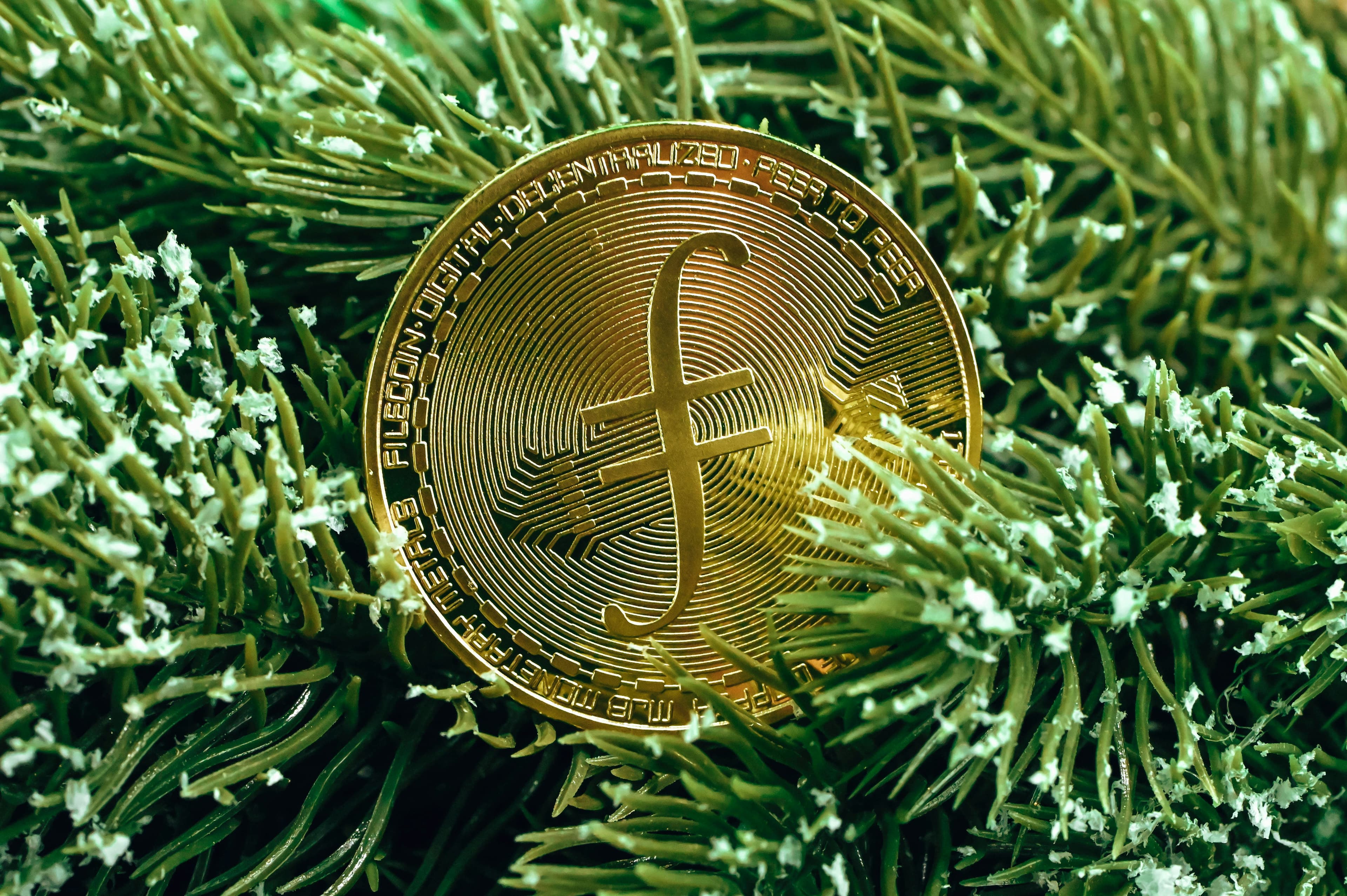 Fidelity Contrafund, image 1 of 1