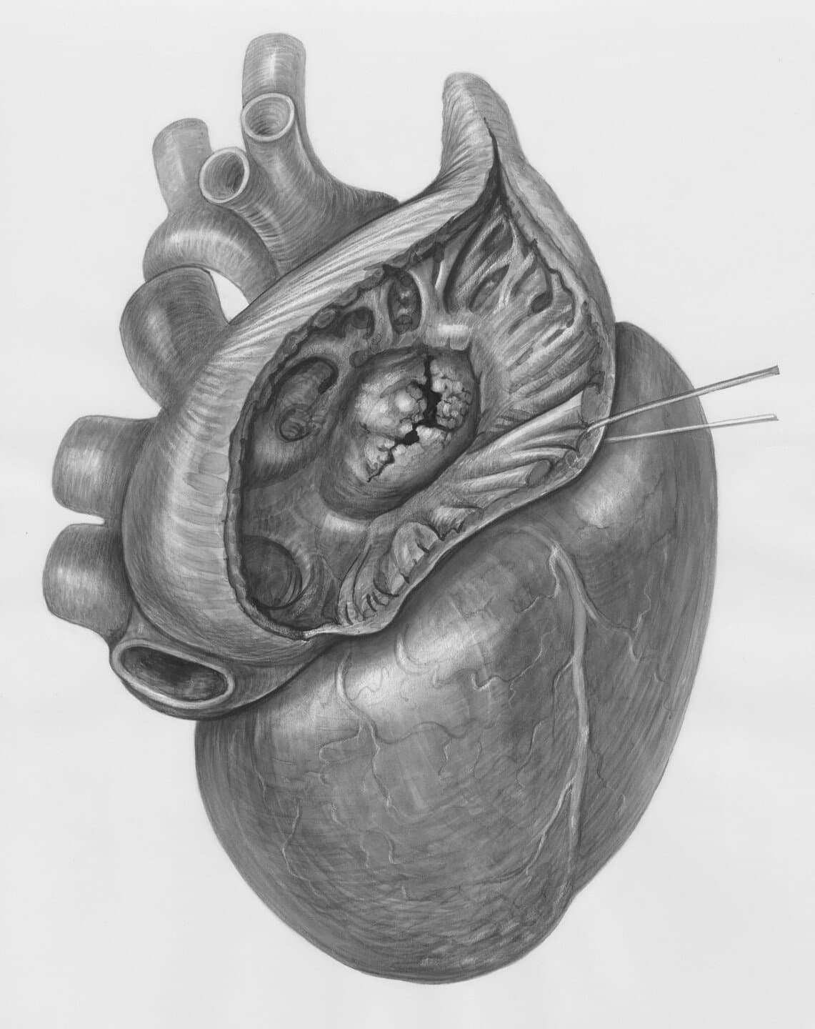 PARTNER 3, image 1 of 1