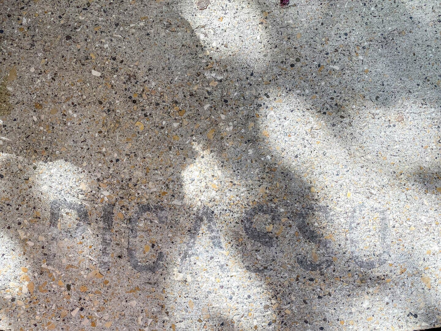 Museum of Graffiti, image 1 of 1