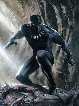Black Panther, image 1 of 1