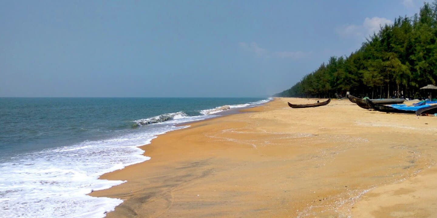 Kochi, image 1 of 1