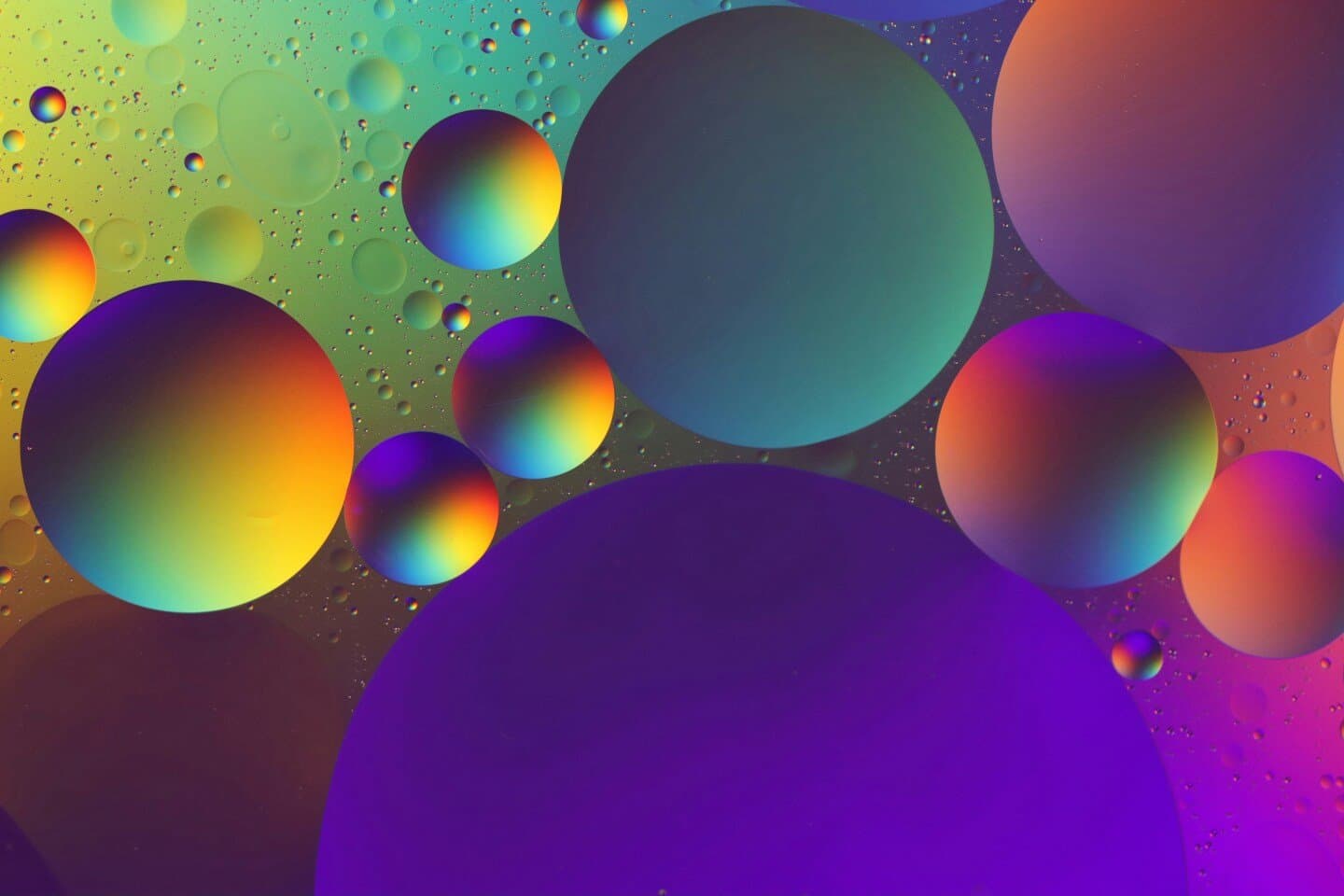 Speculative Bubbles and Overreaction (Shiller), image 1 of 1