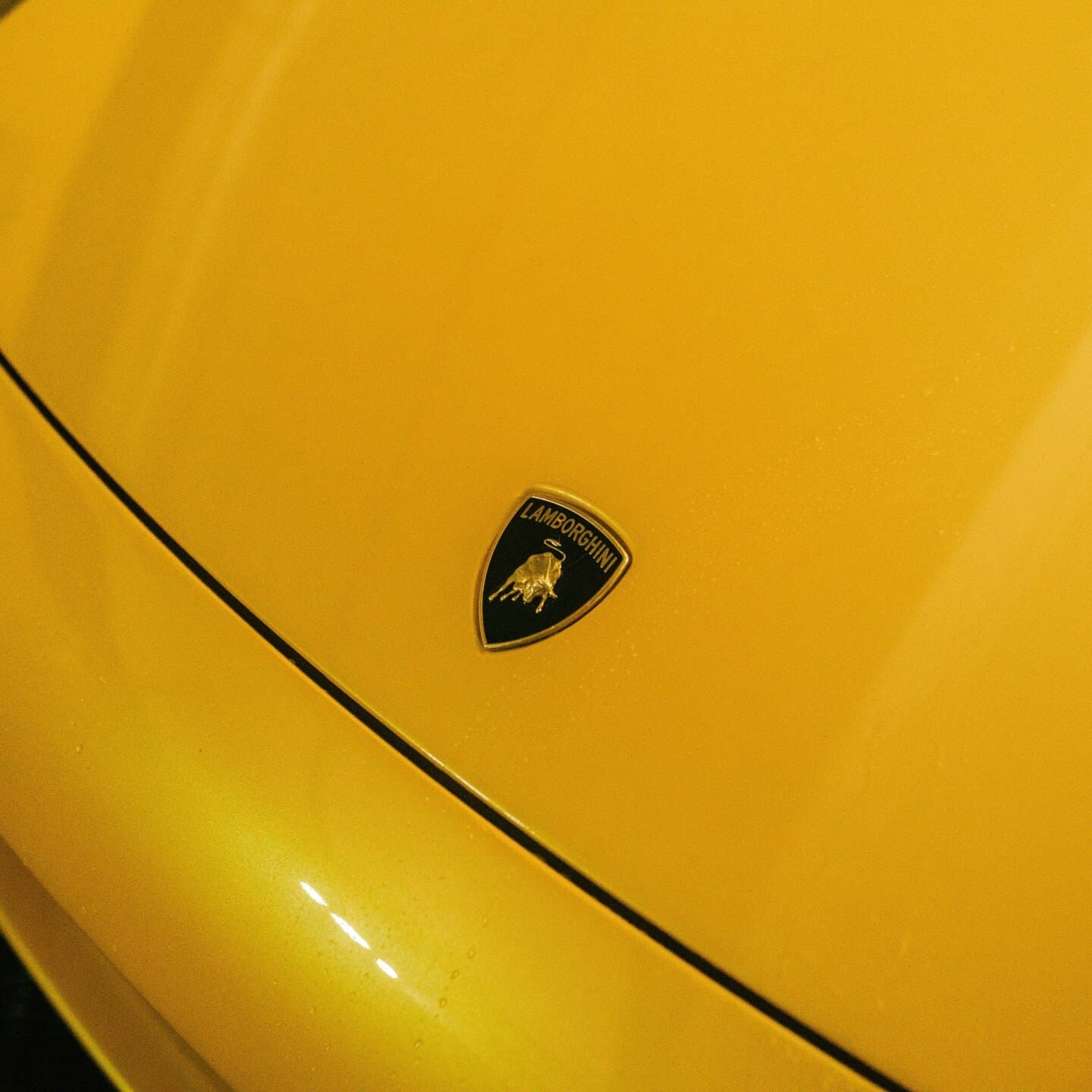 Lamborghini Miami, image 1 of 1