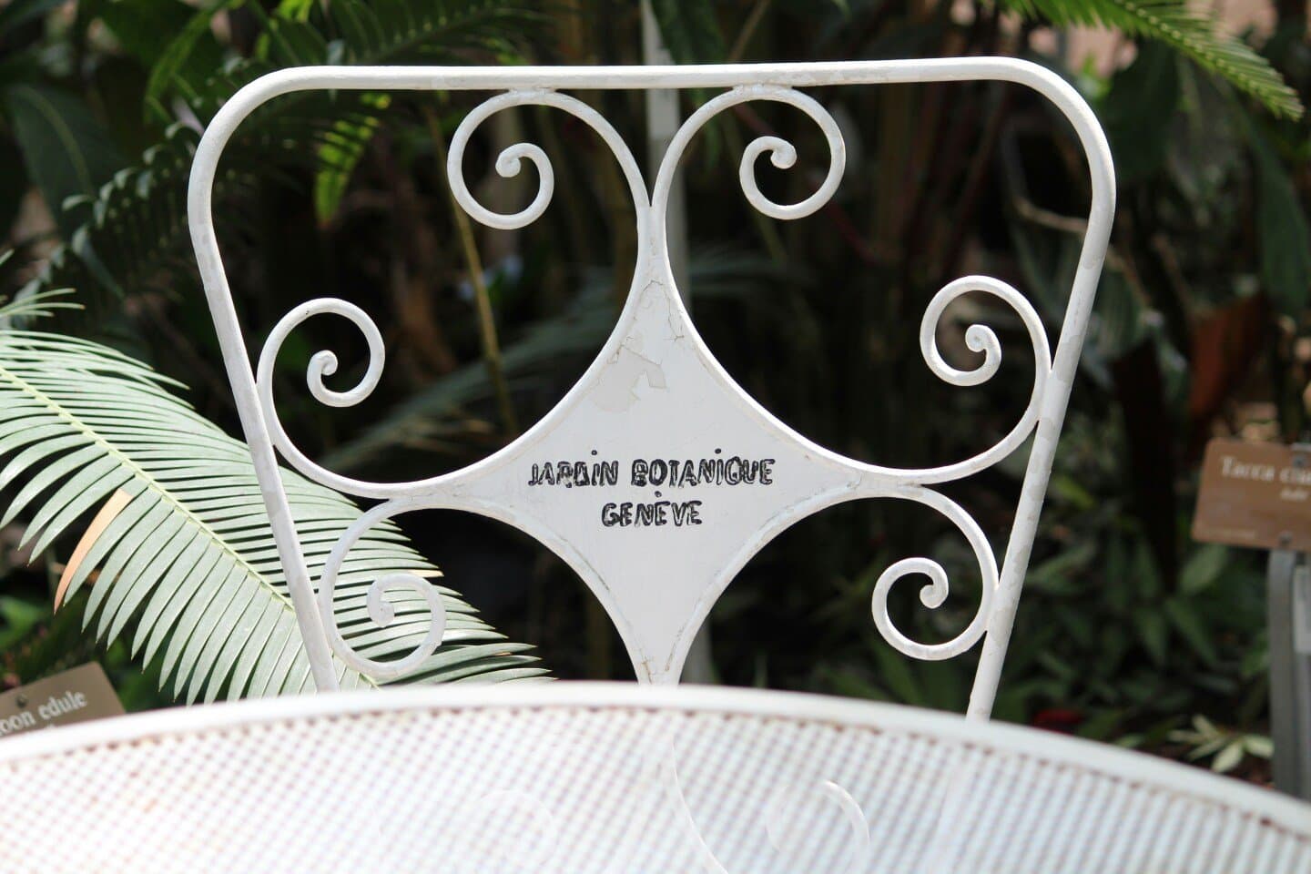 Jardin Anglais et horloge fleurie, image 1 of 1