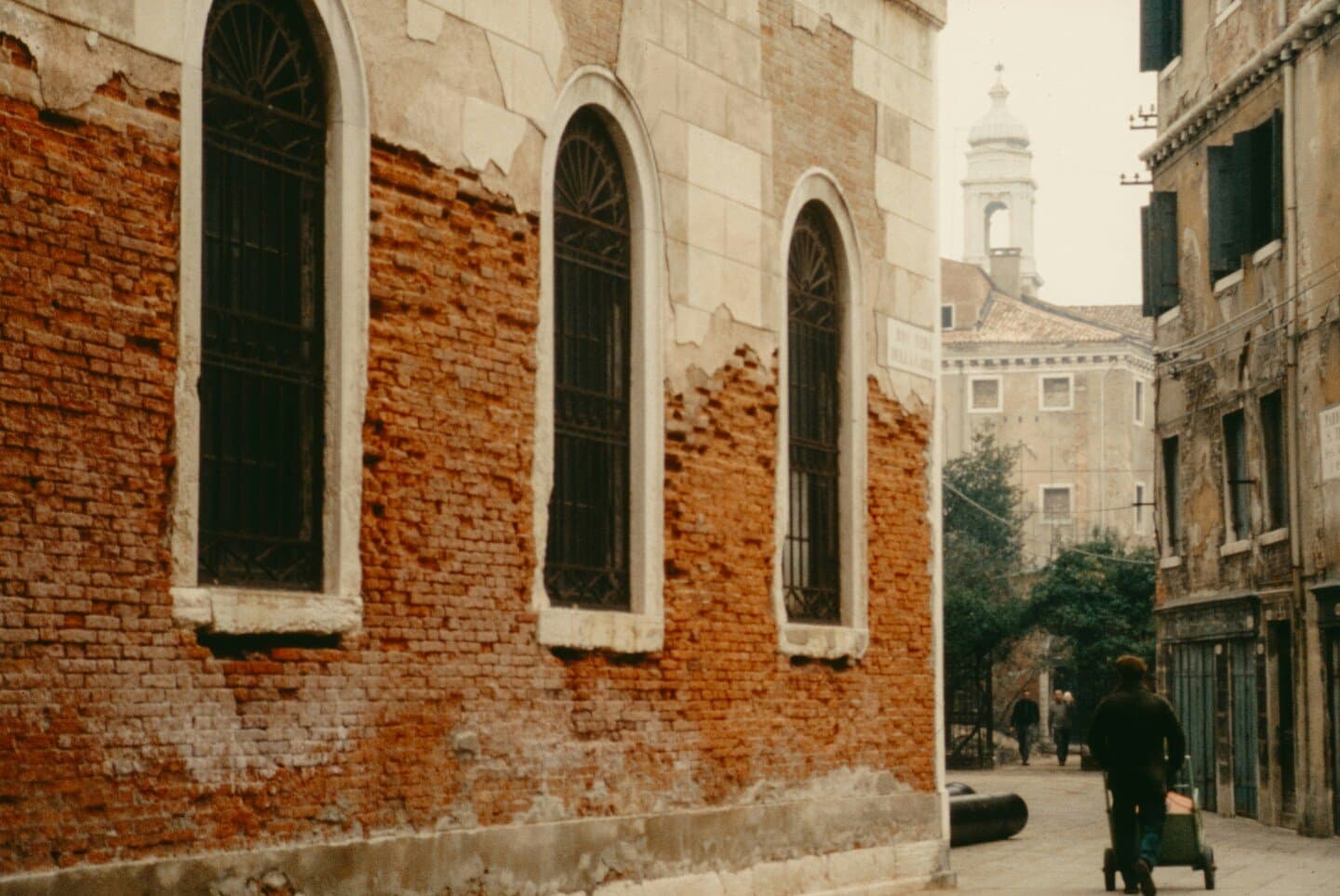 White Collar, image 1 of 1