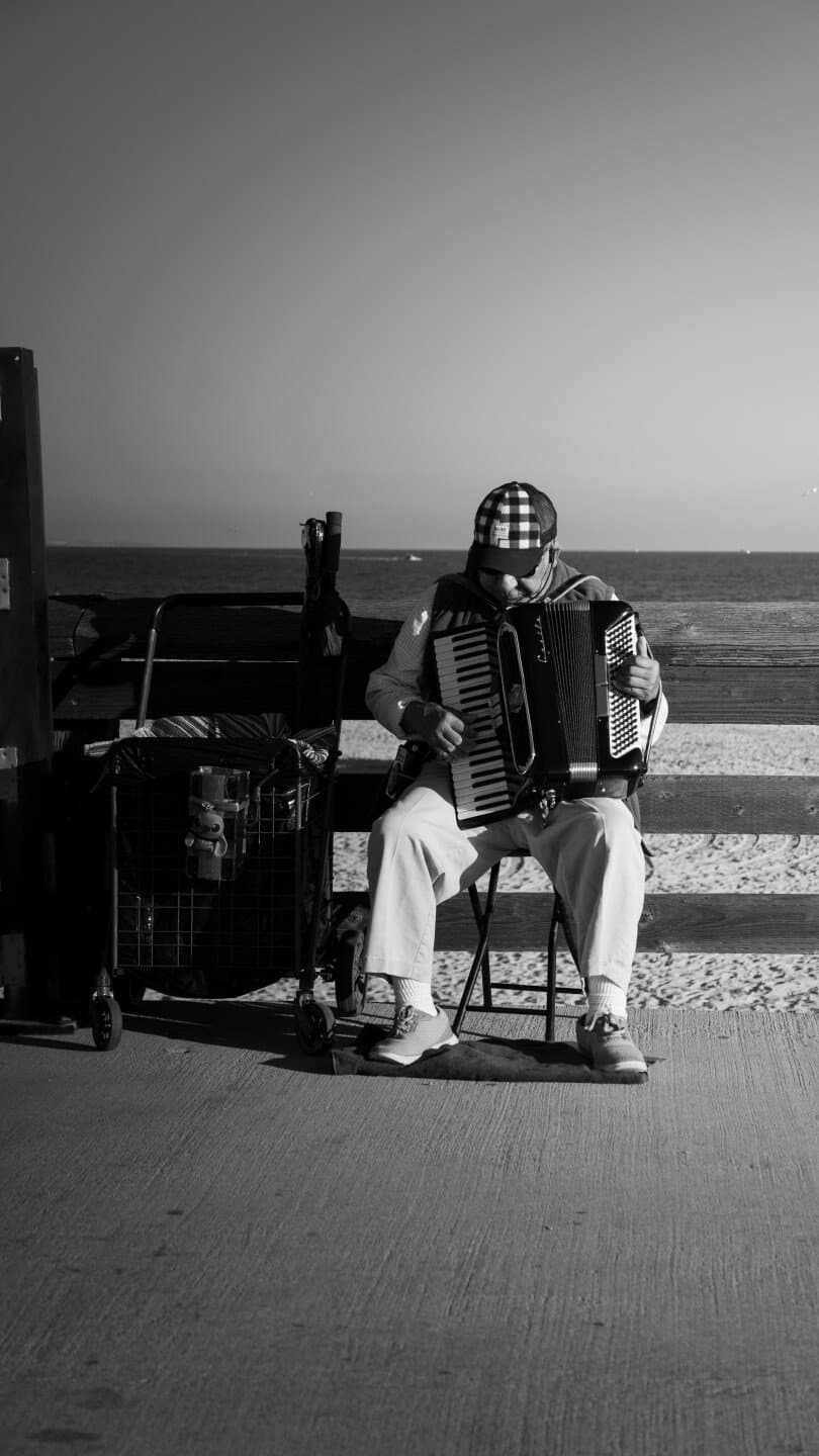 Sharon Shannon, image 1 of 1