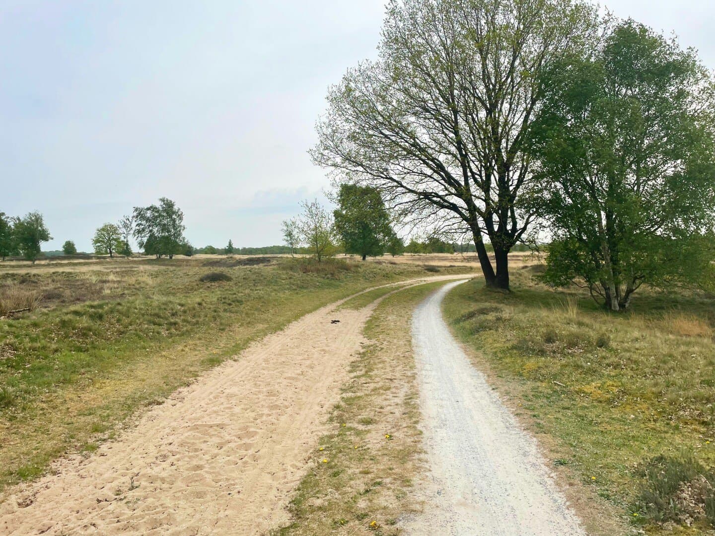 WEGE3 – WEG, image 1 of 1