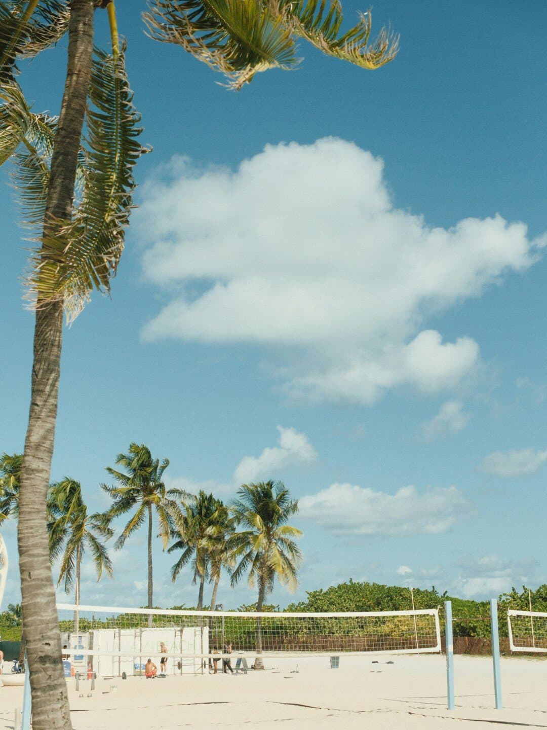 Tropical Park, image 1 of 1