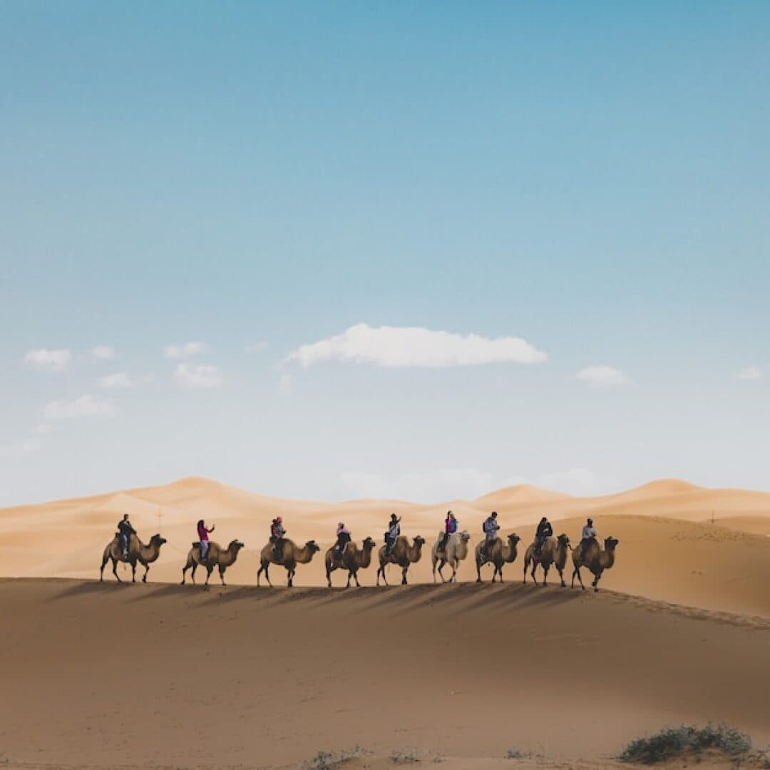The Silk Road, image 1 of 1