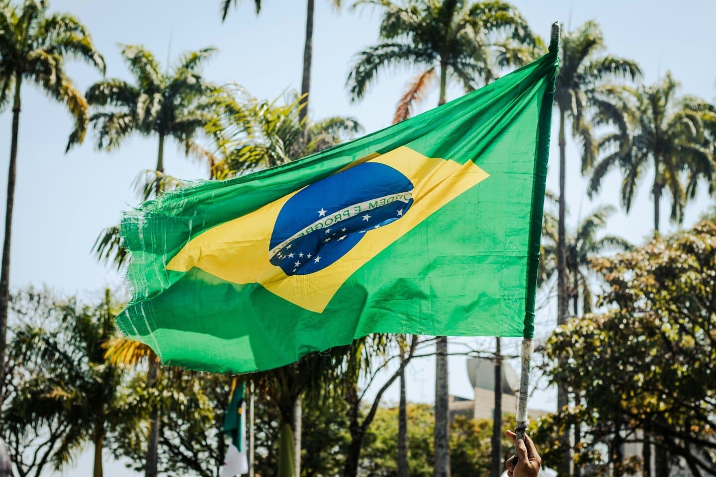 Paraíso do Tuiuti, image 1 of 1