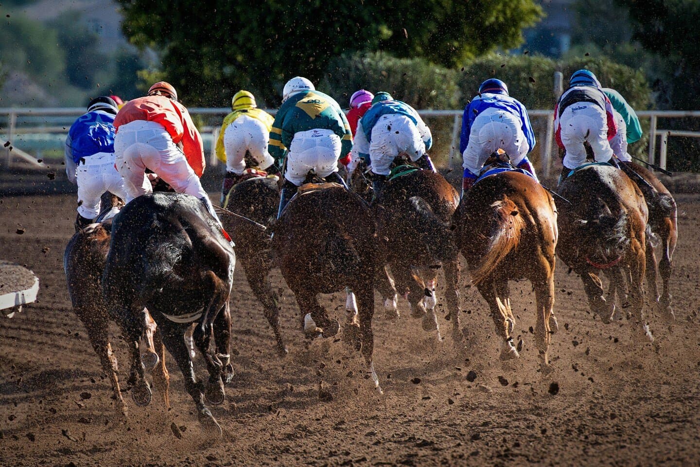 Hipódromo de la Zarzuela, image 1 of 1